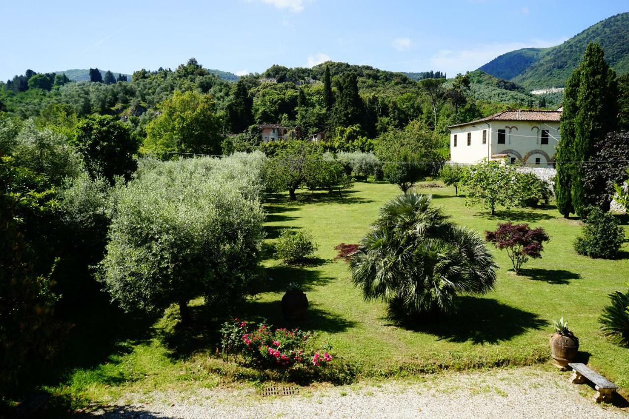 La Vedetta Apartment Lucca Bagian luar foto